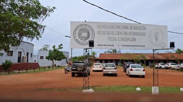 Concepción: aumentan casos de leishmaniasis en caninos - Nacionales - ABC Color