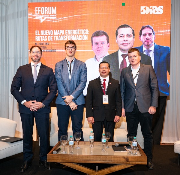 Estrategia oficial prioriza gas natural y diversificación eléctrica