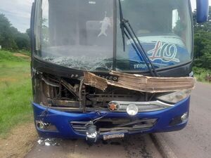 Animal suelto provoca nuevo accidente de tránsito en la Ruta PY05 - Concepción al Día