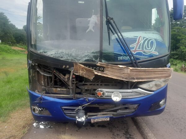 Animal suelto provoca nuevo accidente de tránsito en la Ruta PY05 - Concepción al Día