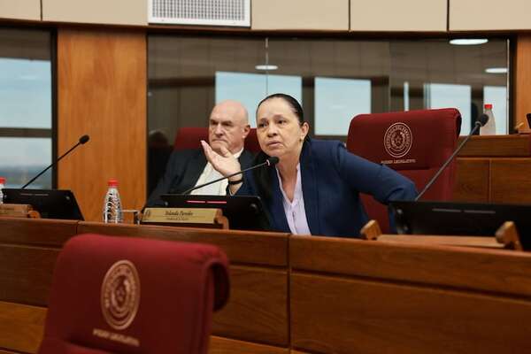 Senadora presentará declaración que busca frenar adjudicaciones de tierras fiscales en la Región Occidental  - Política - ABC Color