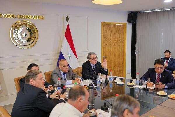 Comisión del Senado denuncia que la mafia de los pagarés embargó más de USD 208 millones