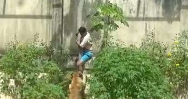 Diario HOY | Una leona mata a un joven que ingresó a su recinto en un zoo de Brasil