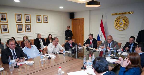 La Nación / Indert defiende procesos en Carmelo Peralta y admite que su estatuto quedó desfasado