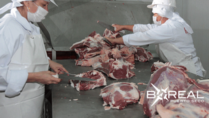 Paraguay se mantiene en el top 10 de principales exportadores de carne | Unicanal