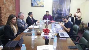 Comisión del Parlamento insta a la ANDE a no elevar tarifas