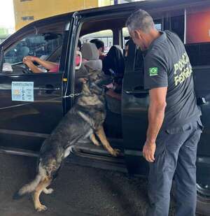 Intensifican controles contra crímenes transnacionales en el Puente de la Amistad - ABC en el Este - ABC Color