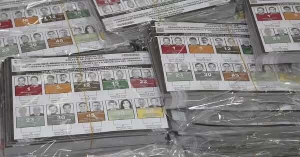 La Nación / PLRA solicitará a la Justicia Electoral regreso a papeletas