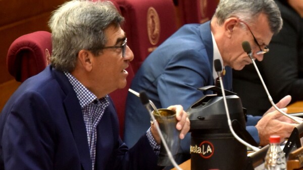 Legisladores disidentes cuestionan “imposición” de Alliana para el 2028