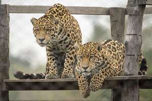 Ayolas ofrece naturaleza, historia, y tecnología para el turismo interno - Viajes - ABC Color