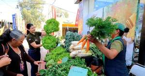 La Nación / Realizarán más de 1.000 ferias de la agricultura familiar en todo diciembre