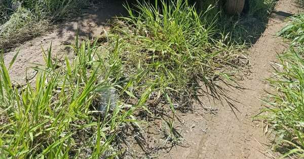 La Nación / Chaco: hallan muerto a un ciudadano danés y buscan a sus familiares