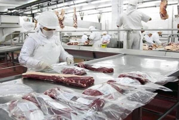 Sector cárnico paraguayo cierra el 2025 con más de USD 2.255 millones en exportaciones