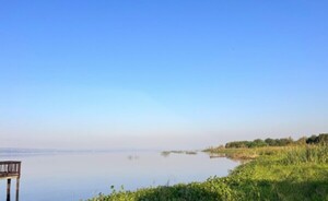 Impulsan plan para recuperar  el Lago Ypacaraí