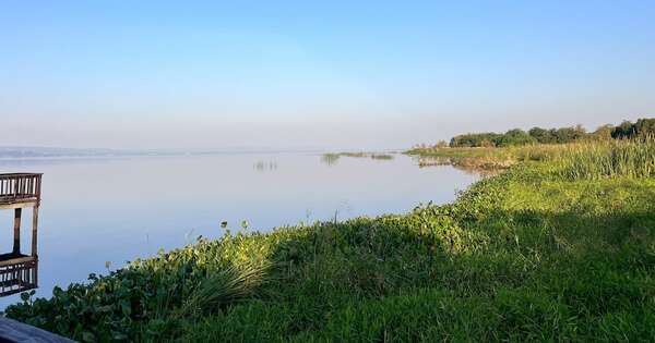 Diario HOY | Impulsan plan histórico para recuperar el Lago Ypacaraí
