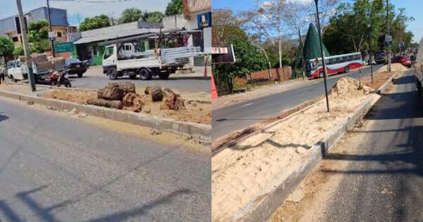 Diario HOY | Vecinos repudian a intendente de Villa Elisa por tala masiva de árboles sobre Von Poleski