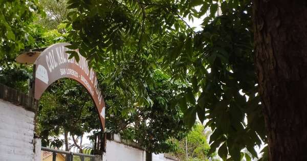 Diario HOY | Recuerdan que la inscripción en escuelas y colegios públicos es gratuita