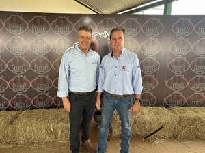 Innovación sobre el negocio ganadero: “Este es el ciclo para acelerar producción y capturar más kilos”