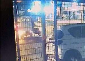 Video: conductor arrolló a motociclistas, huyó y se llevó a una víctima en su carrocería - Policiales - ABC Color