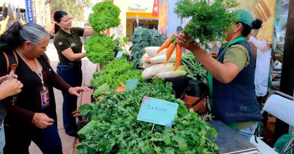 La Nación / Harán más de 1.000 ferias en todo el mes de diciembre