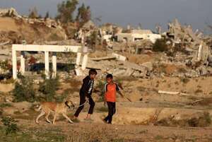 Israel anuncia que reabrirá el cruce de Rafah para la salida de palestinos a Egipto - Mundo - ABC Color