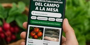 Compra de productos de la agricultura familiar por internet - Portal Digital Cáritas Universidad Católica