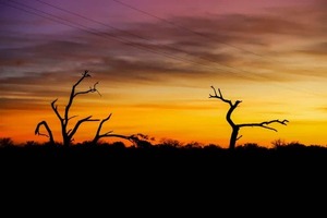 Miércoles caluroso con vientos norte y sin lluvias