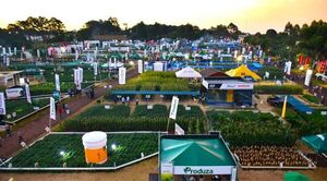 Agrodinámica 2025 abrió sus puertas con un despliegue de innovación y tecnología agrícola en Itapúa