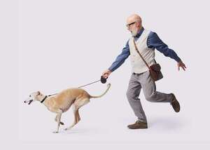 Cuando el perro no obedece: los cinco errores de comunicación más comunes que cometen los dueños - Mascotas - ABC Color