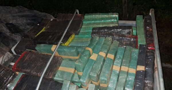 Diario HOY | El “gran negocio” de la marihuana: las últimas incautaciones logradas en Canindeyú