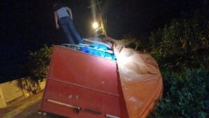 Gran carga de marihuana incautada no pertenece a un solo grupo, según Senad - Policiales - ABC Color