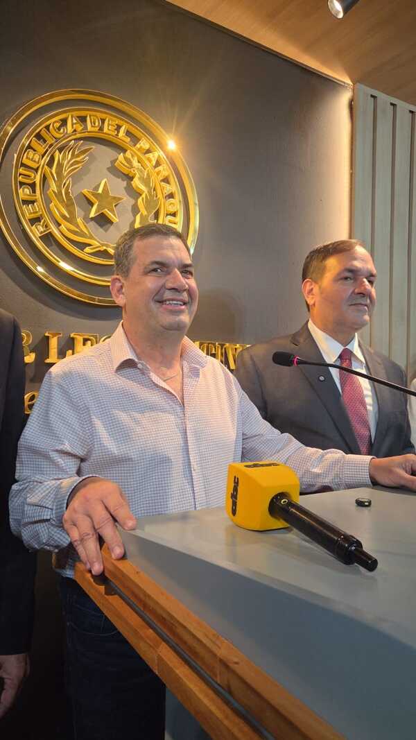 Hugo Velázquez irá por la presidencia de la ANR y critica a Cartes