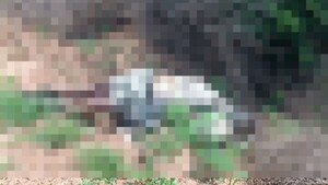 Segundo aventurero extranjero que muere en el Chaco