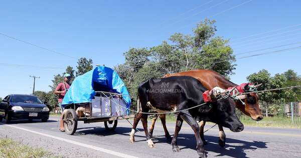 Diario HOY | Rumbo a Caacupé: brindan recomendaciones a conductores