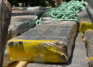 La red de Silva Hũ cae tras el debilitamiento del Clan Macho