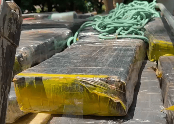 La red de Silva Hũ cae tras el debilitamiento del Clan Macho