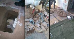 ¿Reos iban a ser mariachis?: Pillan túnel que iba a México