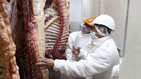 Paraguay rompería una barrera histórica: las exportaciones de carne bovina superarían los US$ 2.000 millones
