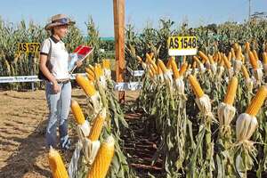 La historia detrás de Agrodinámica - ABC Rural - ABC Color