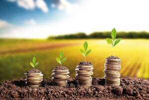 Finanzas en el agro: la clave para gestionar - ABC Rural - ABC Color