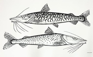 SNC e Itaú Inauguran Espacio con Expo Fluvial