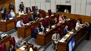 Senado pide frenar adjudicaciones de las tierras fiscales en el Chaco