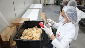 Investigan cómo 114 niños atletas se empacharon