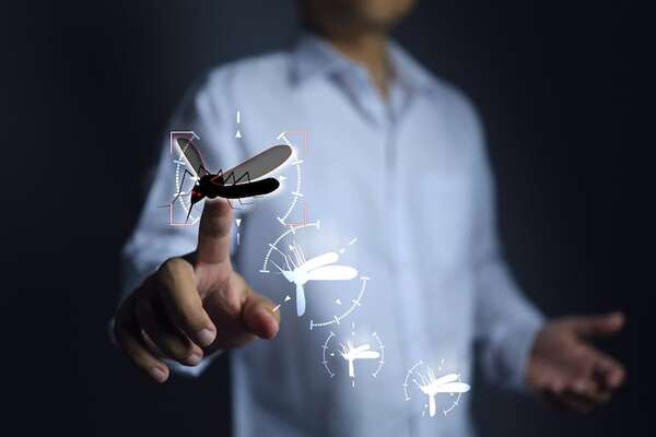 OMS alerta sobre aumento de muertes vinculadas a la malaria - Mundo - ABC Color