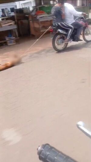 Video de maltrato animal genera indignación y piden actuar de oficio para identificar al responsable - Concepción al Día