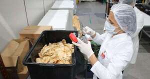 La Nación / Laboratorio municipal procesa muestras de alimentos que habrían intoxicado a 144 niños