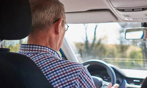 Senado aprueba calcomanía distintiva para conductores mayores de 60 años - OviedoPress