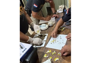 Hallan droga lanzada desde la calle hacia el Penal de Tacumbú