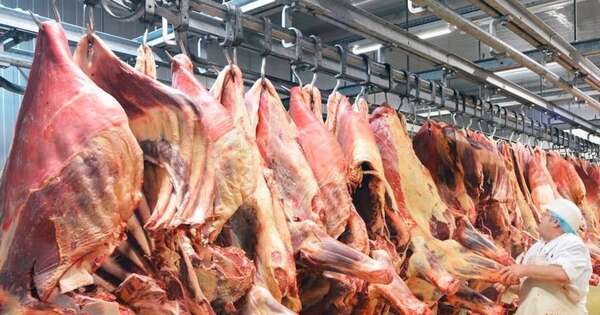 La Nación / Exportación de carne bovina paraguaya marca un hito superando los USD 2.000 millones