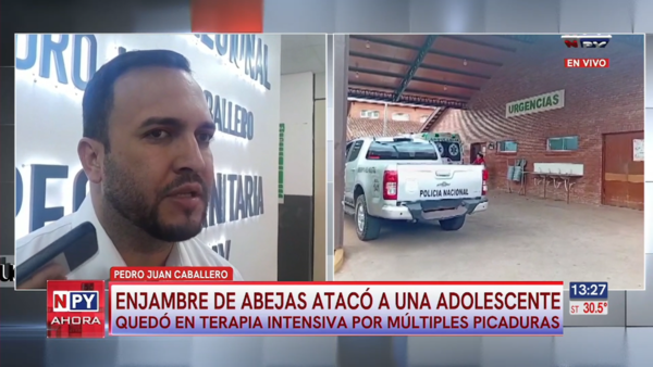 Adolescente atacada por enjambre de abejas en Pedro Juan Caballero